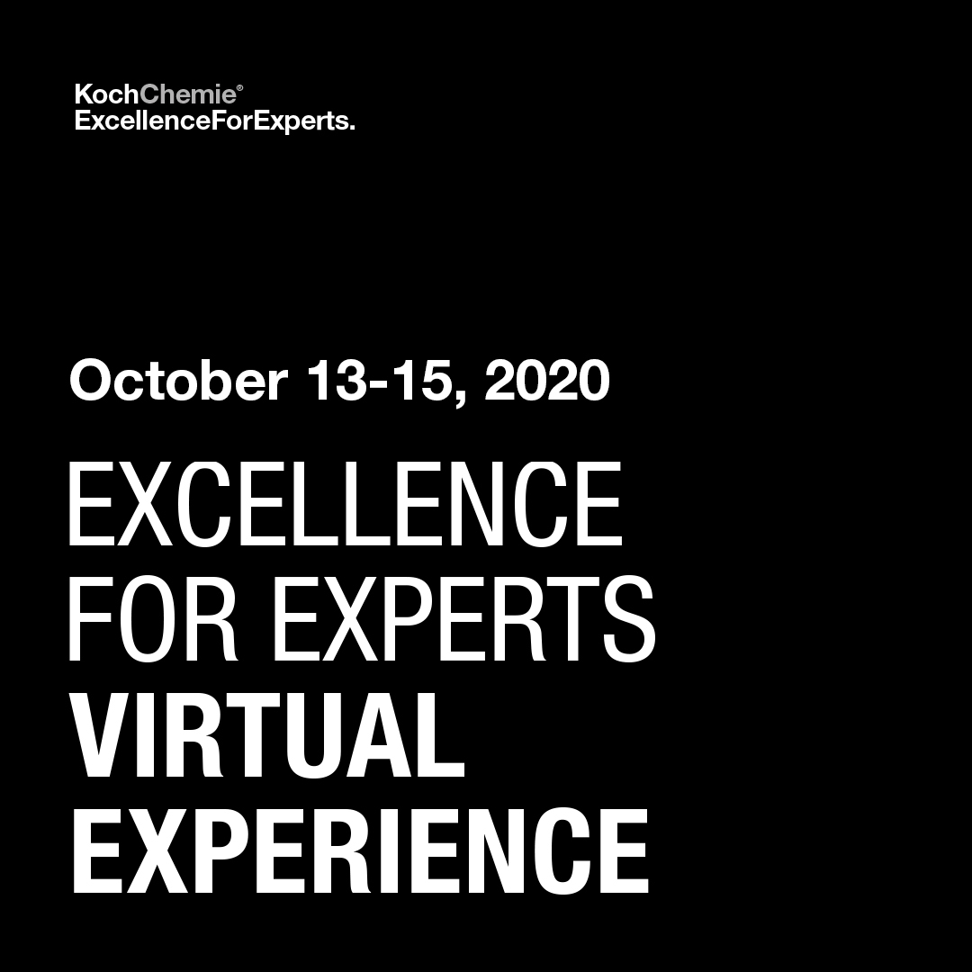 Image showing the text "Excellence For Experts – Virtual Experience"